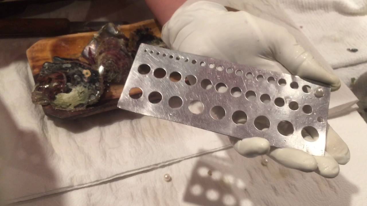 Disney World EPCOT Pick a Pearl