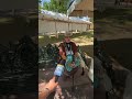 Santa Fe Indian Market