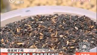 20130903《人气美食》完整版:露天情调咖啡馆小龙虾+圆糯米长糯米+川式烤鱼+胶原蛋白喝起来
