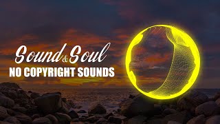 Raven & Kreyn - Bubble [NCS Release]