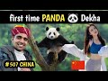 Kungfu Panda China पांडा की ये बाते आप नहीं जानते, movie बनी थी इसी पर