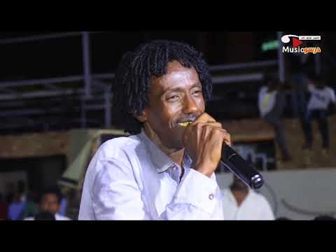 عالف السماني مراسي الشوق 