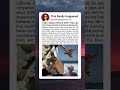 He Sailed the World With Just His Cat!