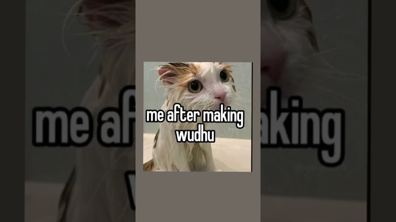 Funny Muslim Memes Part 3 Islam Shorts Fyp Trending