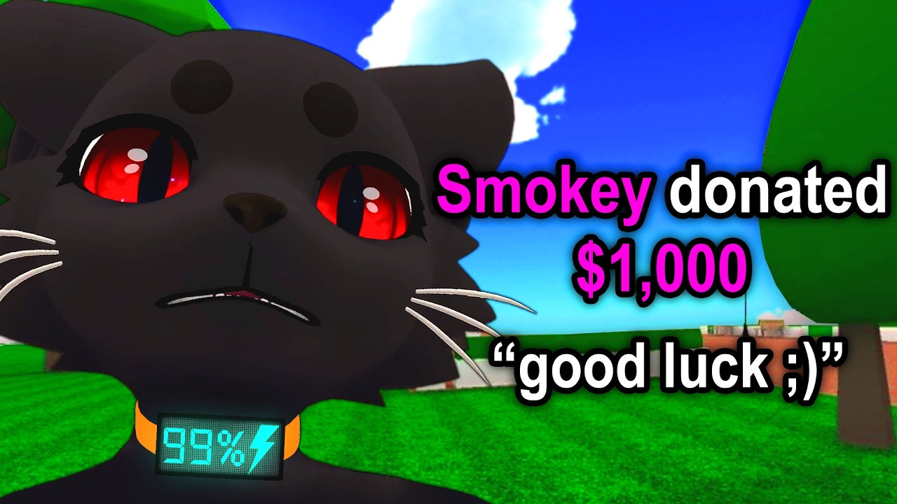 Protokitty Vrchat VRChat Kitten, BUT Donations = Shock Intensity - YouTube