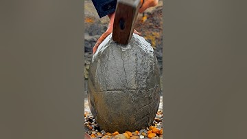 HUGE Boulder Cracked For Fossils!