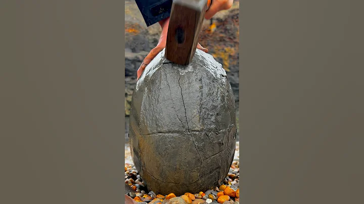 HUGE Boulder Cracked For Fossils!