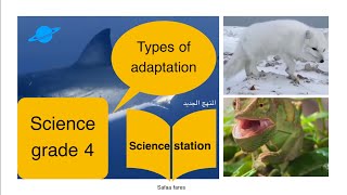 Science grade4 term1 concept1 lesson 2 part2 types of adaptation