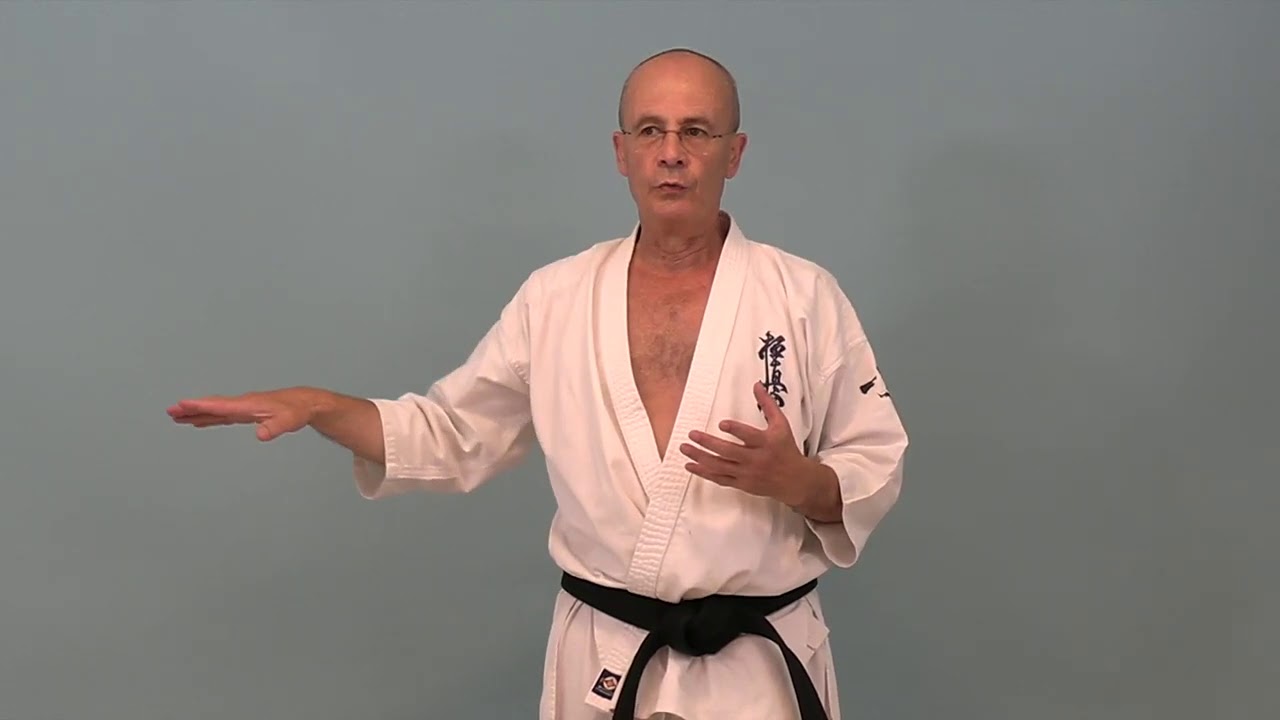Biomécanique du Mawashi Geri Bertrand Kron Shihan