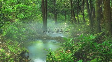 سورة الناس - الشيخ أحمد محمد طاهر