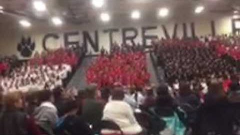 Pyramid concert bull run es seasons of love