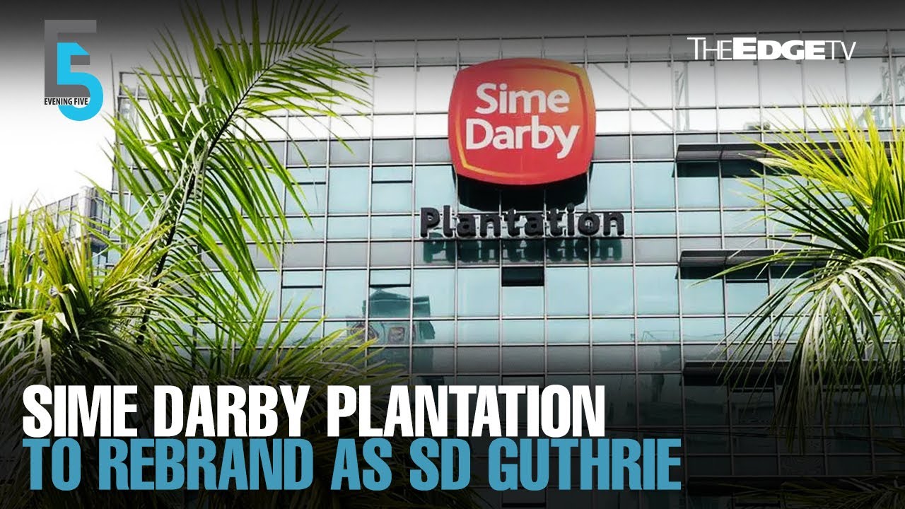 EVENING 5: Sime Darby Plantation to rebrand as SD Guthrie - YouTube