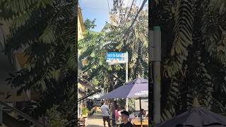 Batman Alley in São Paulo, Walking through Batman Alley!  Live music on the street.