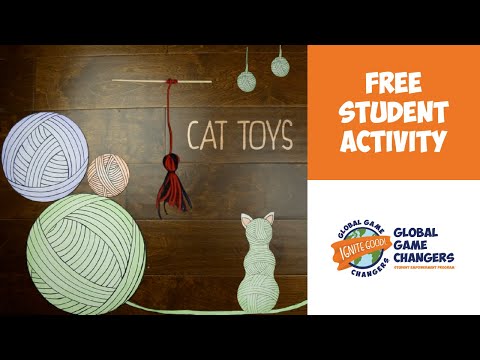 How to Make Great Cat Toys: Easy DIY Ideas Your Cat Will Love
