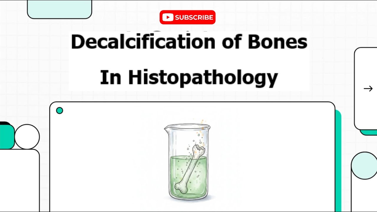 Decalcification in Histopathology - A complete Guide