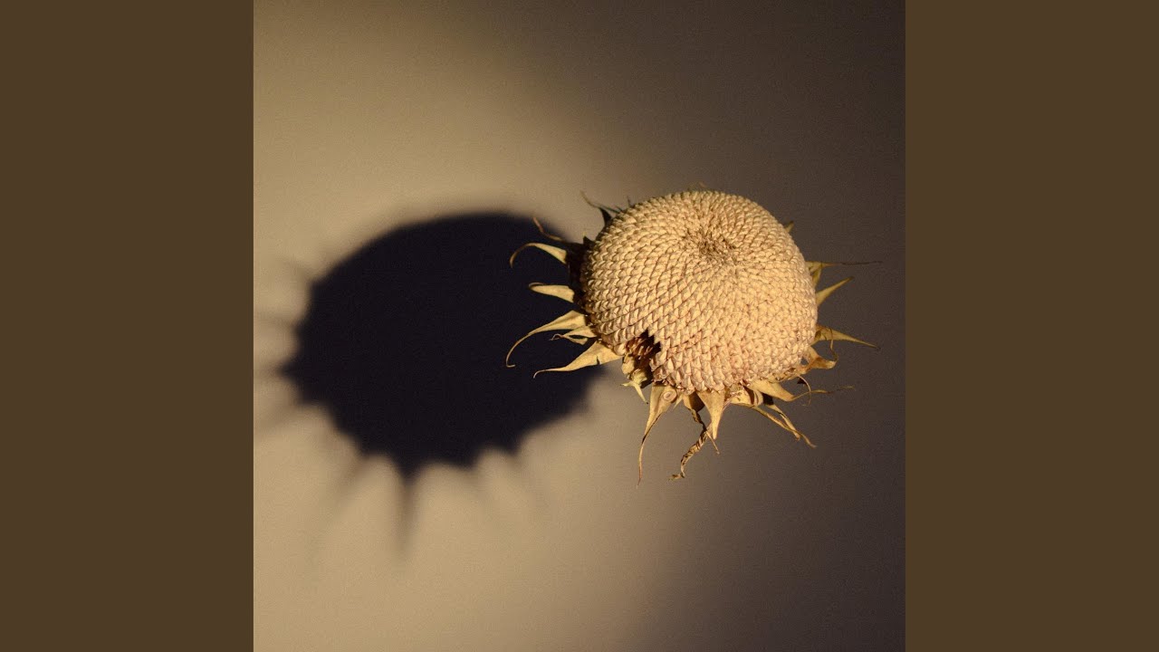 在 YouTube 上观看 Carrot Sticks 在 YouTube 上观看 Carrot Sticks