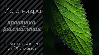 Йога нидра | родись заново за 20 минут | практика расслабления и медитации | йога сна