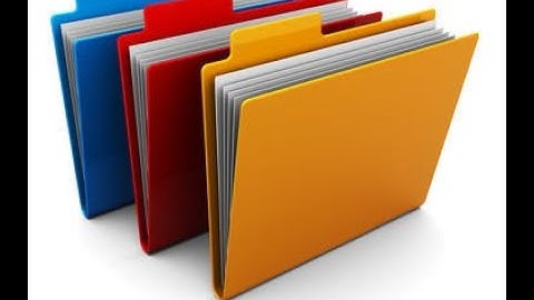 Bash Demo: Loop over Files