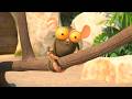 Jungle Bunch Great Adventures And Mysteries 30 Min Cartoons WOW CLUB SPANISH 