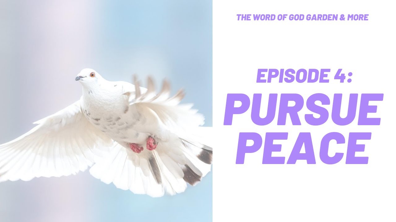 pursue-peace-youtube