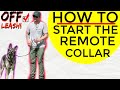 how to use a remote collar to train your dog - Ecollar Dog Training