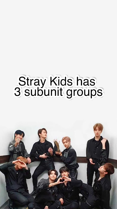 This is for the baby stays and those who are just not super familiar with SKZ ✨ #straykids #kpop