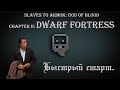 Dwarf Fortress. Гайд. Быстрый старт.