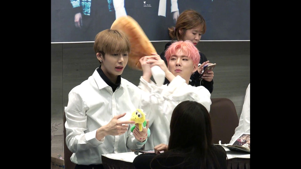 cat walking harness 161021 명동팬싸 몬스타엑스 형원 & 기현 닭다리 ㅋㅋㅋㅋㅋ