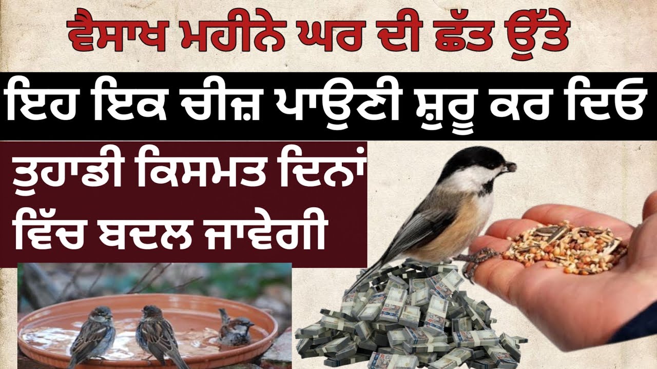 ਵੈਸਾਖ ਦੇ ਮਹੀਨੇ ਘਰ ਦੀ ਛੱਤ ਉੱਤੇ ਇਹ ਇਕ ਚੀਜ਼ ਪਾਉਣ ਨਾਲ ਤੁਹਾਡੀ ਕਿਸਮਤ ਚਮਕ ਜਾਵੇਗੀ। gurbani power⚡