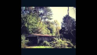 Cicadas and Gulls Feist Cover