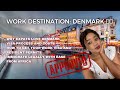 How To Move/Immigrate To Denmark 🇩🇰 From Africa | Get Paid Even When Unemployed! 😮