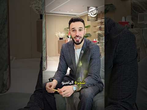شجرة البامبو وعلاقتها بالاستثمار العقاري