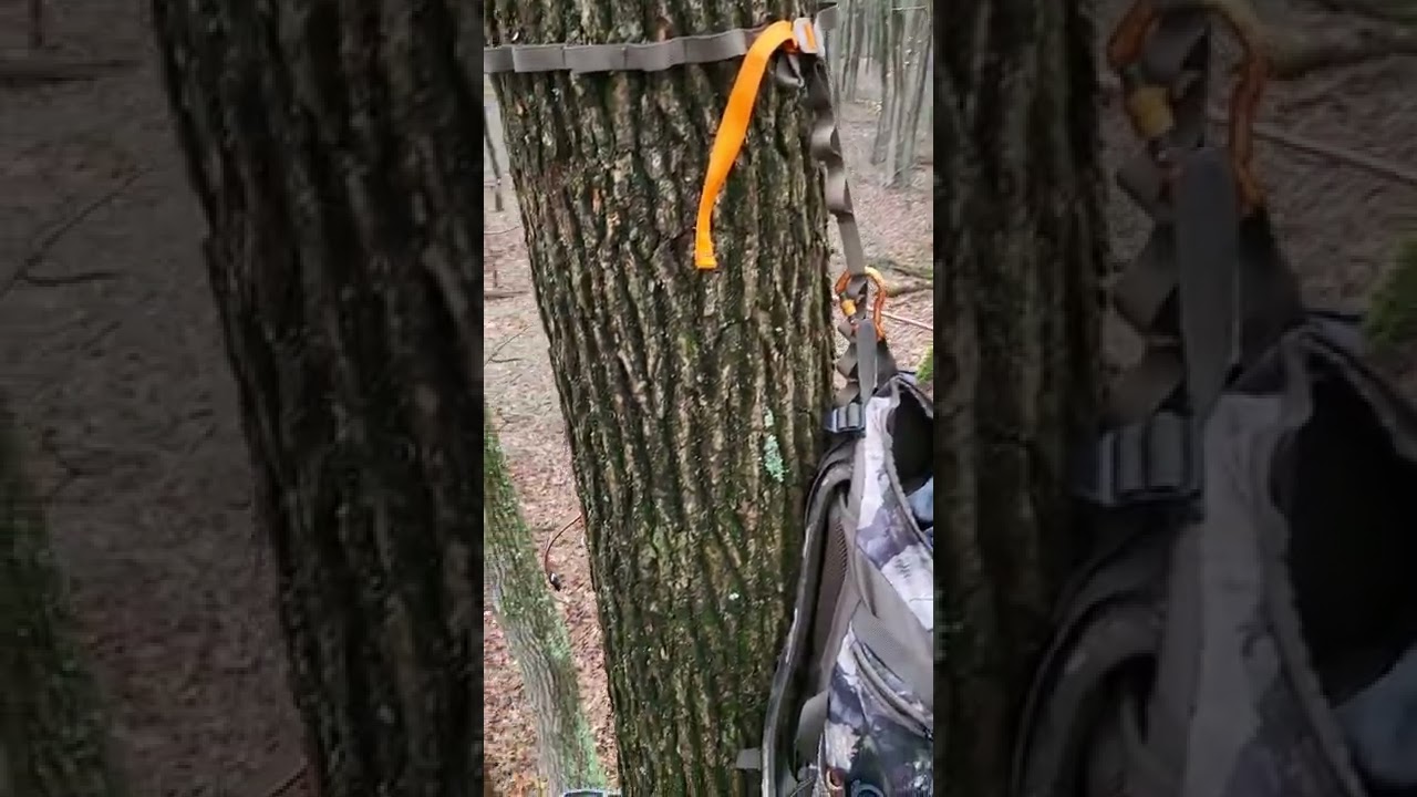 Tuebor Hemlock saddle set up