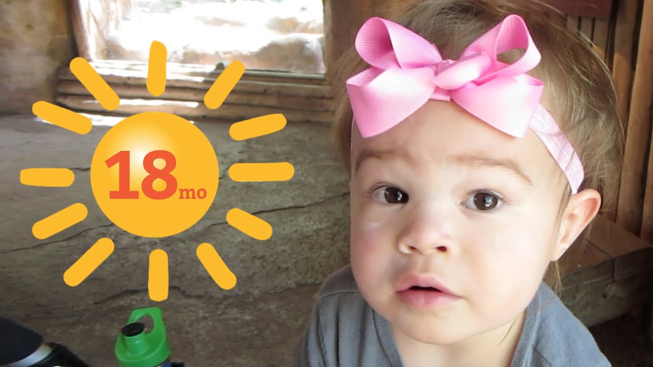 girls like you ♡♡ Paloma @ 18 Months ♡♡