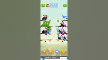 Bird sort puzzle walkthrough #viral #shorts #trending #short #birds