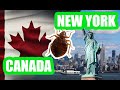 Top Three Solutions for Bed Bugs in CANADA and NEW YORK - Finally
