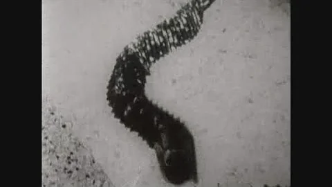 News Item (8326bf52-2c54-a699-b98f-a2137045fce1)