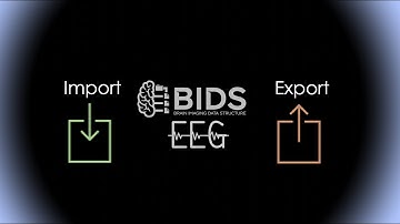 BIDS data format for Neuroimaging: Export/Import BIDS EEG data from EEGLAB