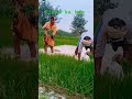 k krishi kam #bhojpuri #bolleywoodsong #song #bollywoodcoversongs #funny #sadcoversong #love