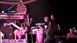 Beastie Boys - The Maestro (Live in Los Angeles 1992)