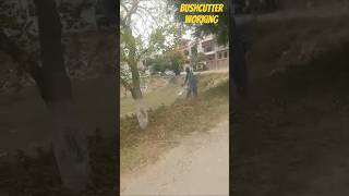 Horticulture maintenance work #foryou #youtubeshorts #bushcutter