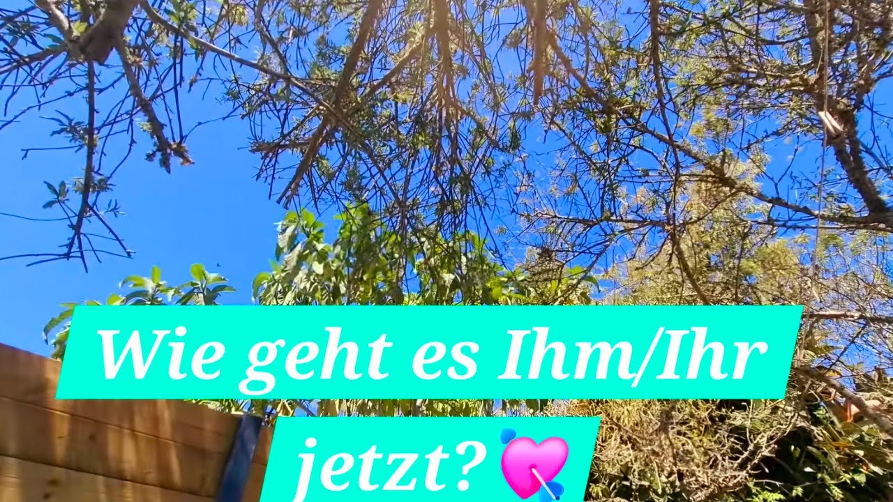 💖SEELENPARTNER SEELENIMPULS/CHANNEL💖LIEBESORAKEL