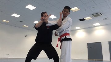 Seienchin Kata Bunkai Drill