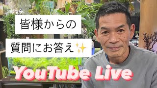 質問にお答えYouTubeLive 【おうちでグリーン】【おうちでガーデニング】開花園チャンネル
