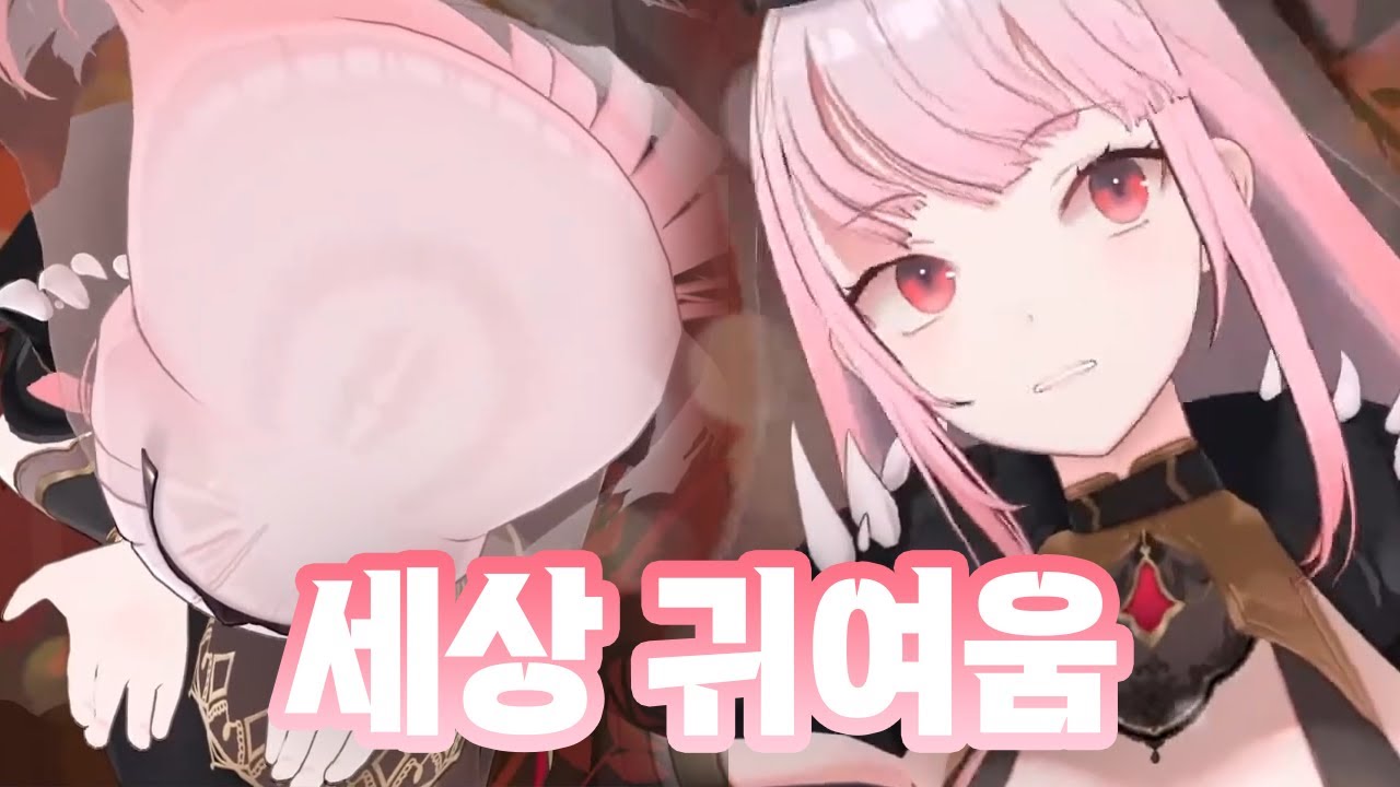 놓치면 무조건 후회하는 세상 귀여운 칼리 모음집