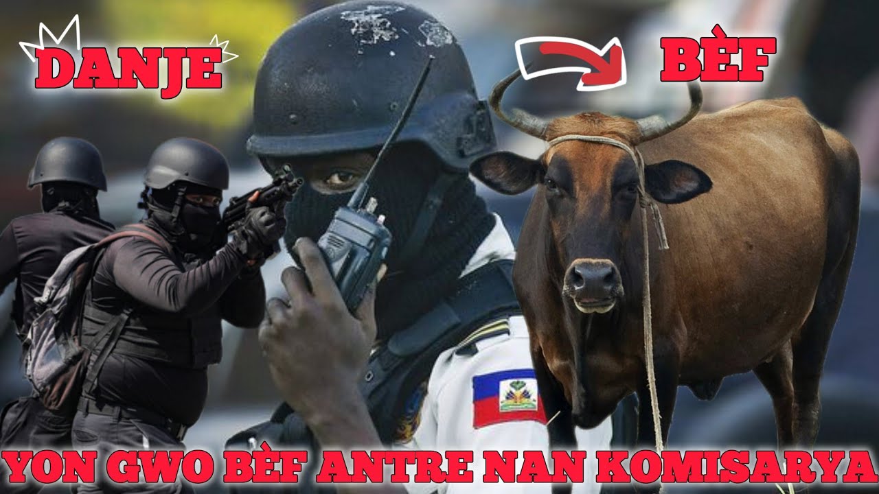 GWO DANJE POU KOMISARYA TABA, LANMÒ SANJOU VIZITE YO SOU FÒM YON TORO BÈF