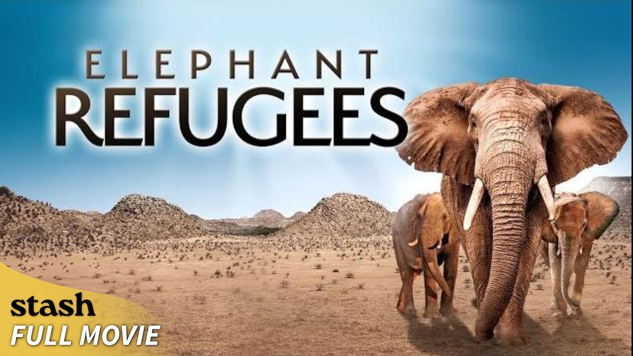 Documentary backdrop image for Elephant Refugees | Wildlife Documentary | Full Movie (2024)