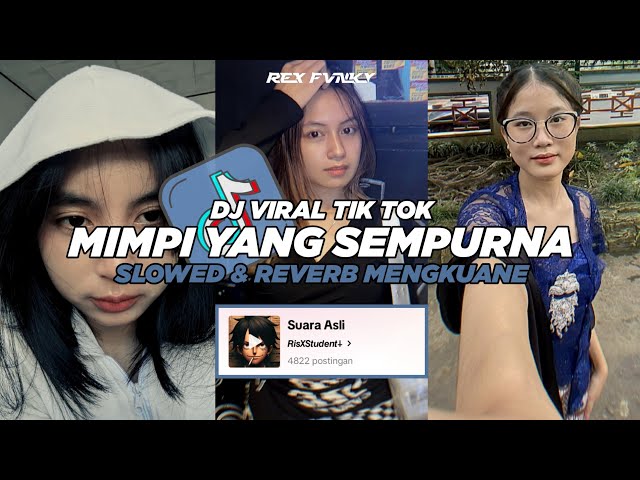 DJ MIMPI YANG SEMPURNA VIRAL TIK TOK TERBARU (Slowed & Reverb) class=