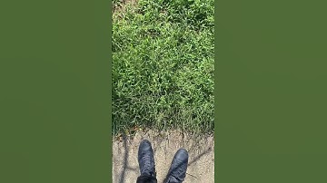 Touching Grass For The First Time (IRL VIDEO)