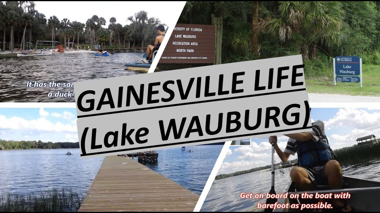 Lake Wauburg_Gainesville Life_게인즈빌 라이프_학교 소유의 호수_레이크워벅에 가보세요 YouTube